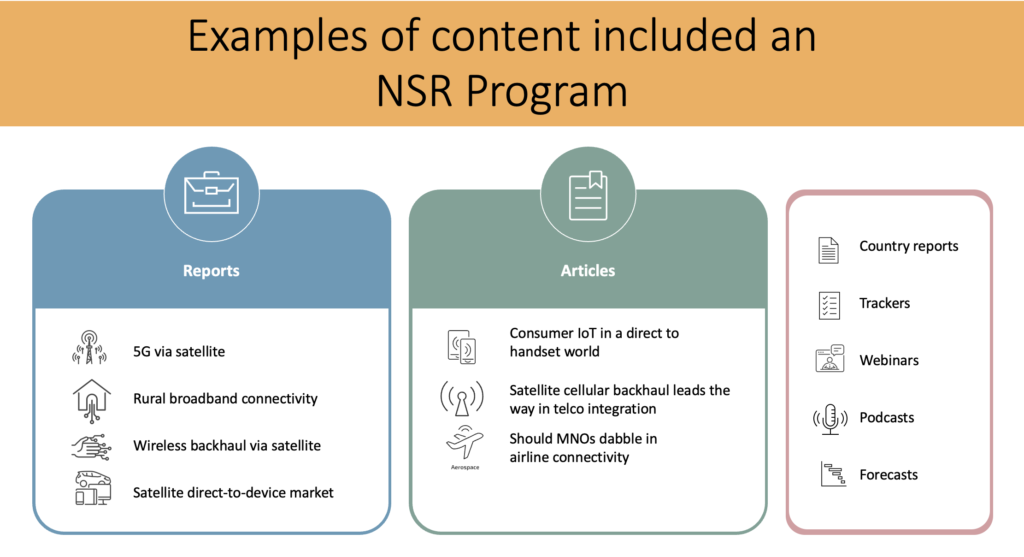 NSR Program Content Examples